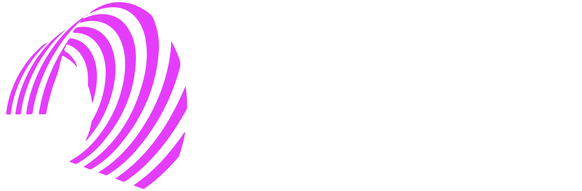Contratar Palestrante
