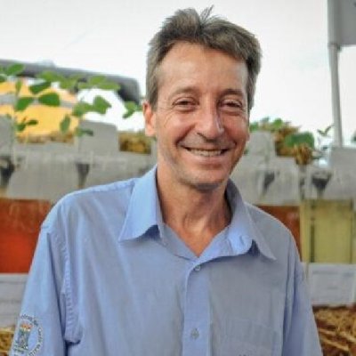 Telmo Amado